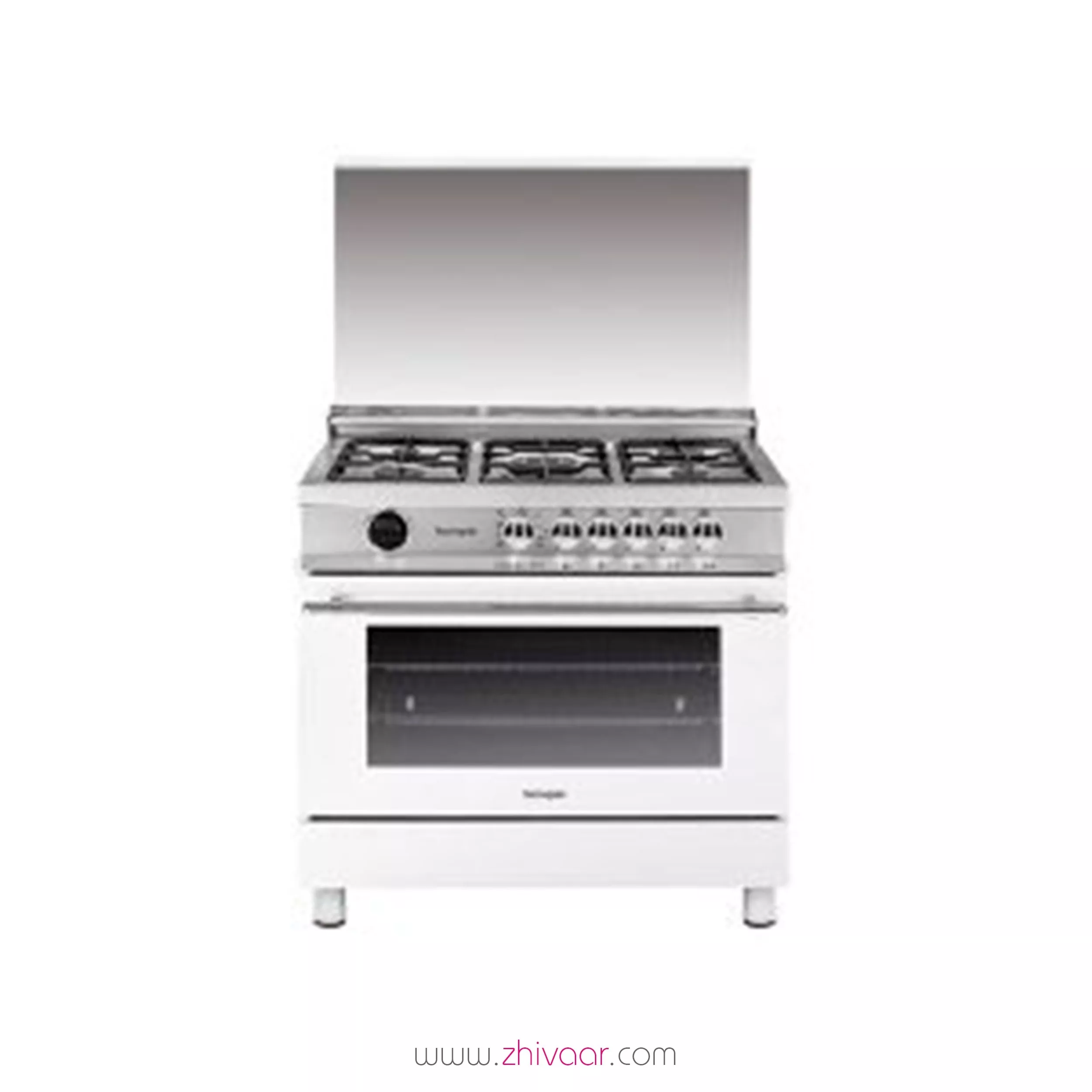 خرید اجاق گاز تاکنوگلد مدل T-6913-WS-L رنگ سفيد استيل